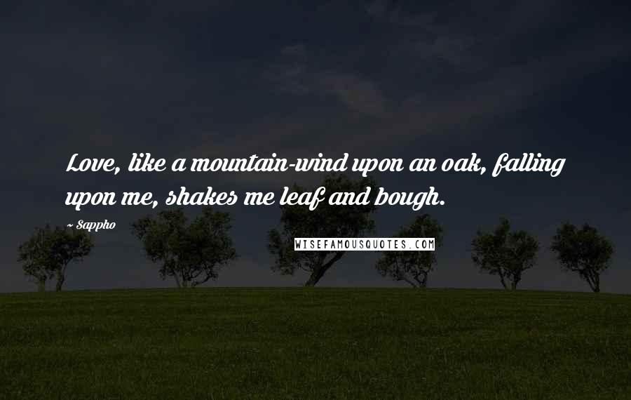 Sappho Quotes: Love, like a mountain-wind upon an oak, falling upon me, shakes me leaf and bough.