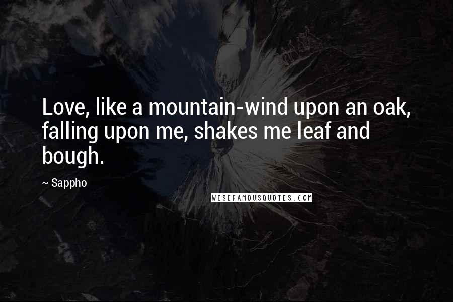 Sappho Quotes: Love, like a mountain-wind upon an oak, falling upon me, shakes me leaf and bough.