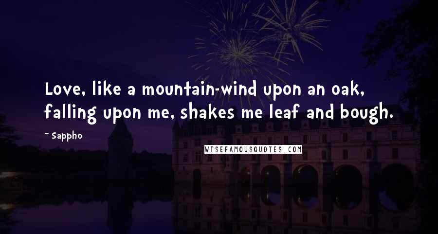 Sappho Quotes: Love, like a mountain-wind upon an oak, falling upon me, shakes me leaf and bough.