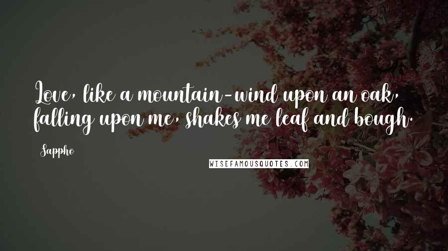 Sappho Quotes: Love, like a mountain-wind upon an oak, falling upon me, shakes me leaf and bough.