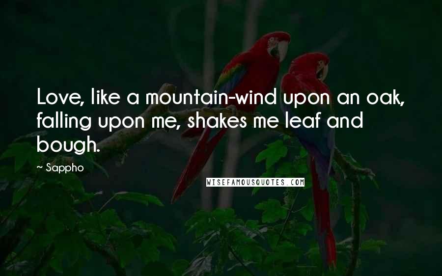 Sappho Quotes: Love, like a mountain-wind upon an oak, falling upon me, shakes me leaf and bough.