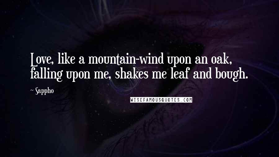 Sappho Quotes: Love, like a mountain-wind upon an oak, falling upon me, shakes me leaf and bough.