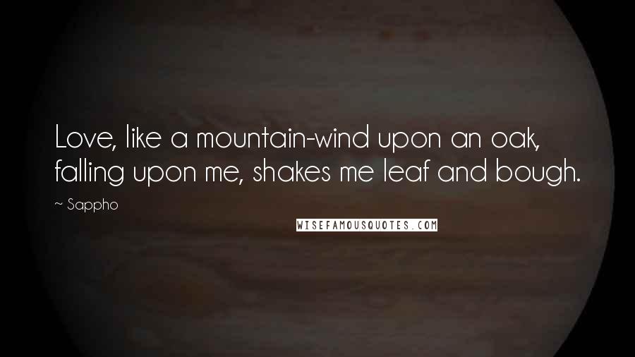 Sappho Quotes: Love, like a mountain-wind upon an oak, falling upon me, shakes me leaf and bough.