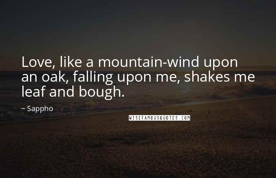 Sappho Quotes: Love, like a mountain-wind upon an oak, falling upon me, shakes me leaf and bough.