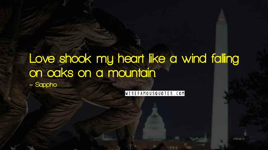 Sappho Quotes: Love shook my heart like a wind falling on oaks on a mountain.