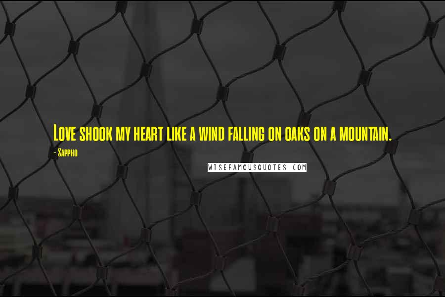 Sappho Quotes: Love shook my heart like a wind falling on oaks on a mountain.