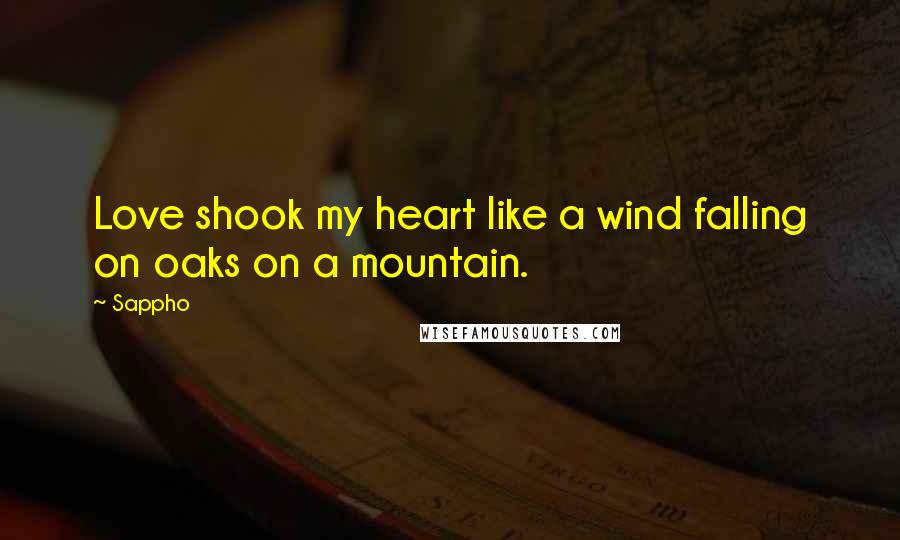 Sappho Quotes: Love shook my heart like a wind falling on oaks on a mountain.