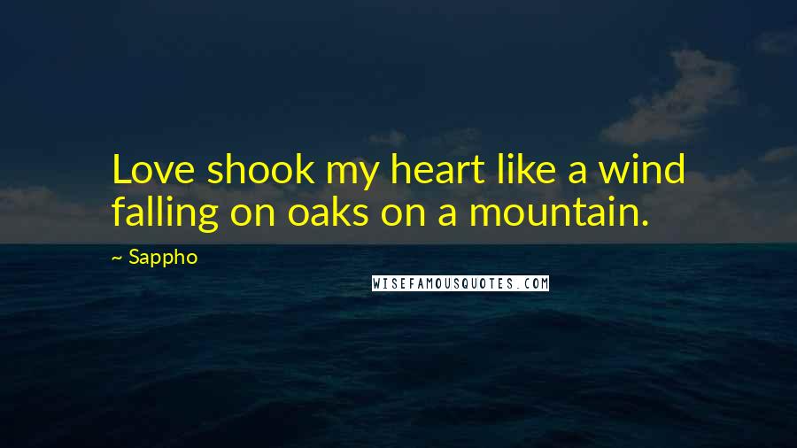 Sappho Quotes: Love shook my heart like a wind falling on oaks on a mountain.