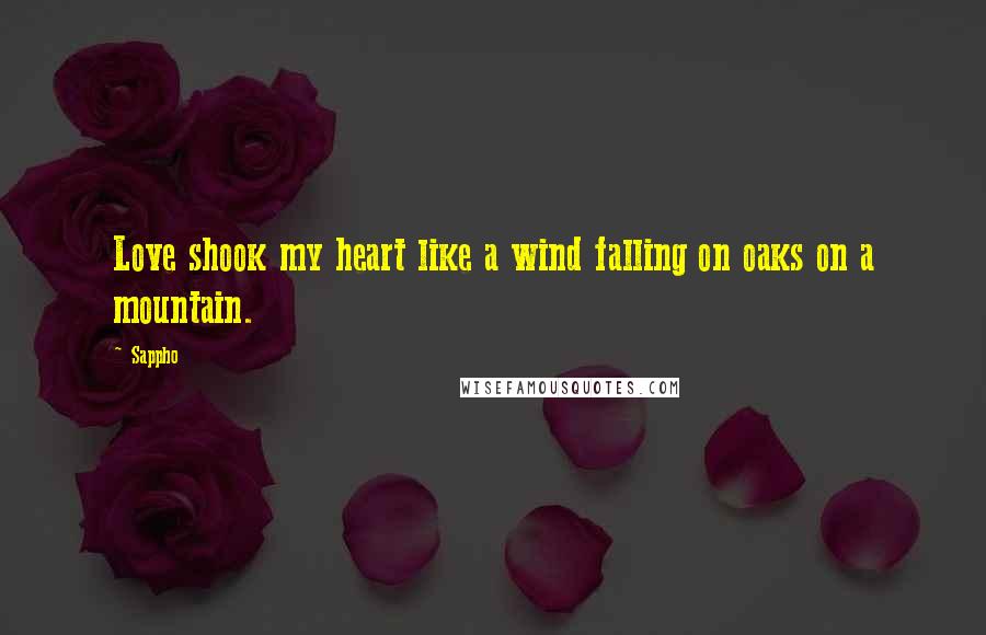 Sappho Quotes: Love shook my heart like a wind falling on oaks on a mountain.