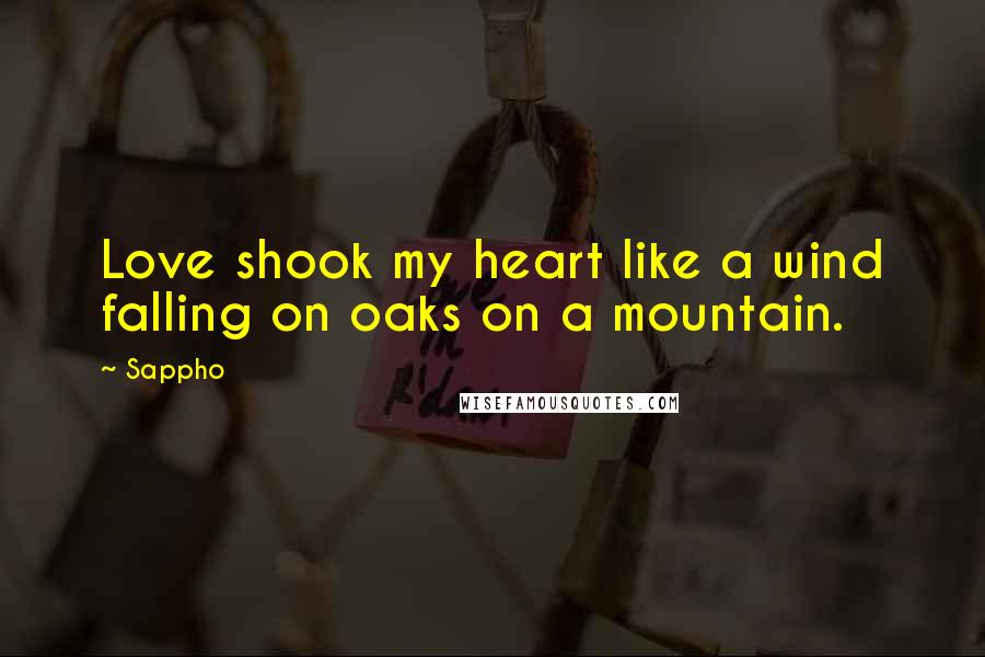 Sappho Quotes: Love shook my heart like a wind falling on oaks on a mountain.