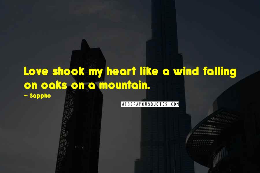 Sappho Quotes: Love shook my heart like a wind falling on oaks on a mountain.