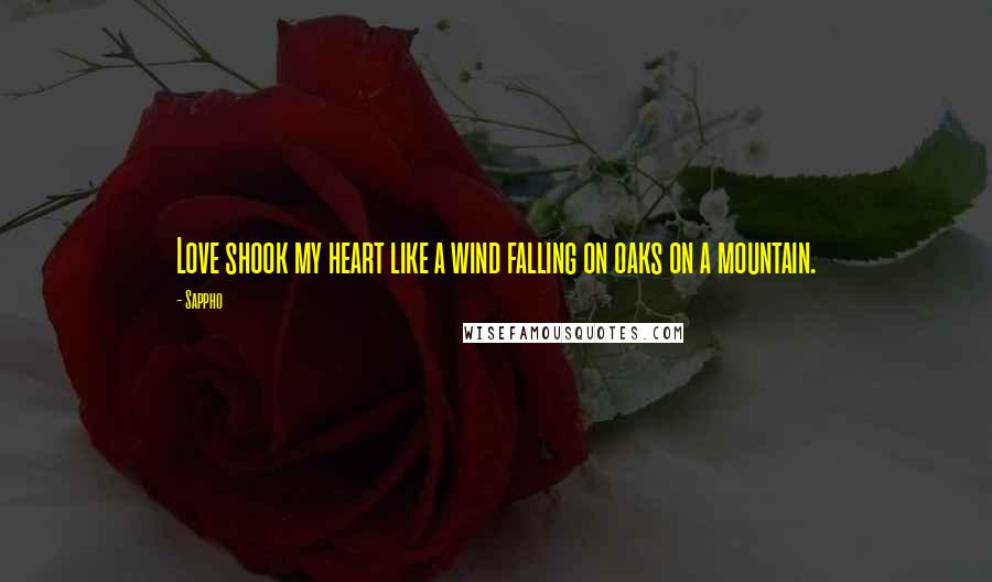 Sappho Quotes: Love shook my heart like a wind falling on oaks on a mountain.