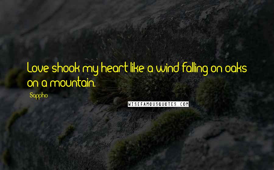 Sappho Quotes: Love shook my heart like a wind falling on oaks on a mountain.