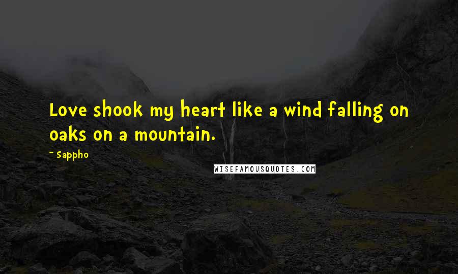 Sappho Quotes: Love shook my heart like a wind falling on oaks on a mountain.