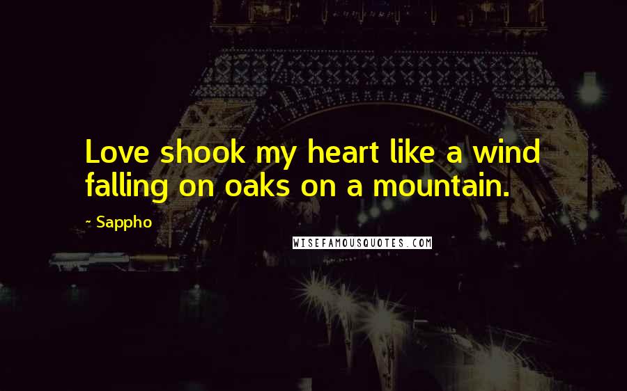 Sappho Quotes: Love shook my heart like a wind falling on oaks on a mountain.