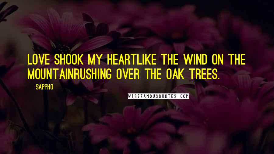 Sappho Quotes: Love shook my heartLike the wind on the mountainrushing over the oak trees.