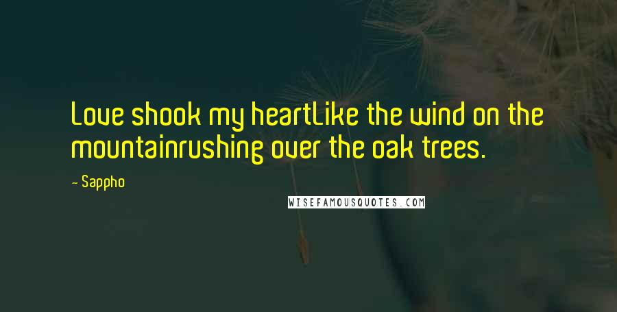 Sappho Quotes: Love shook my heartLike the wind on the mountainrushing over the oak trees.