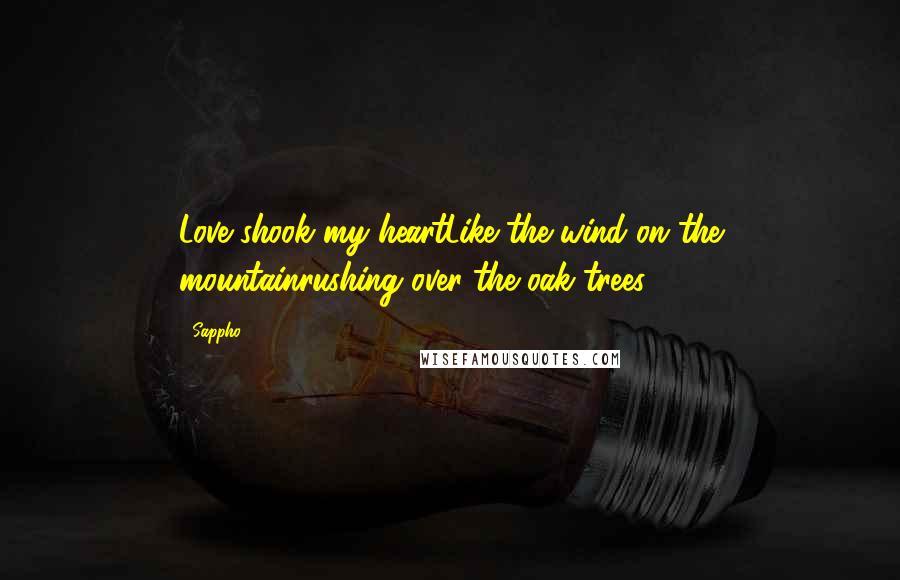 Sappho Quotes: Love shook my heartLike the wind on the mountainrushing over the oak trees.