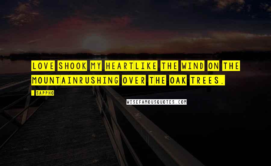Sappho Quotes: Love shook my heartLike the wind on the mountainrushing over the oak trees.