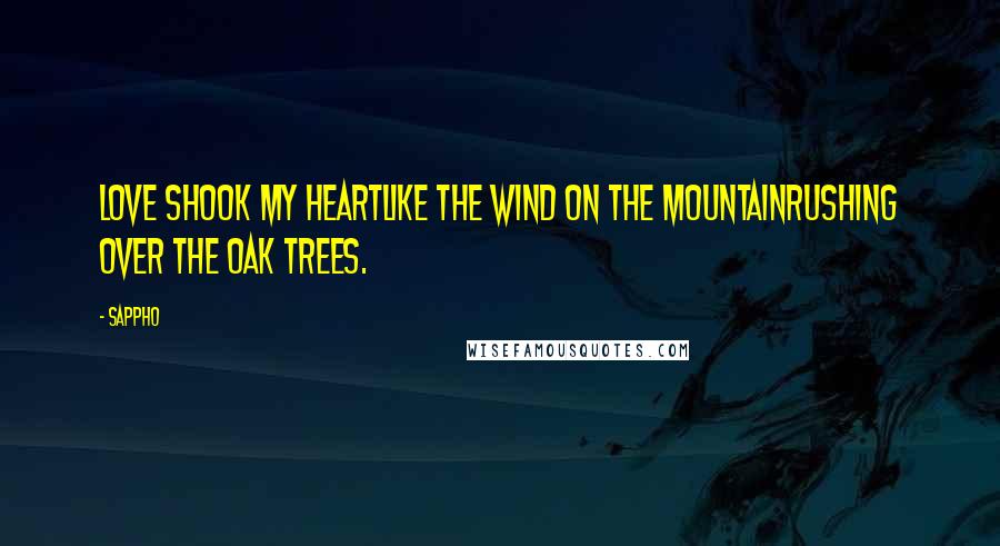 Sappho Quotes: Love shook my heartLike the wind on the mountainrushing over the oak trees.