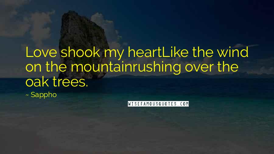 Sappho Quotes: Love shook my heartLike the wind on the mountainrushing over the oak trees.