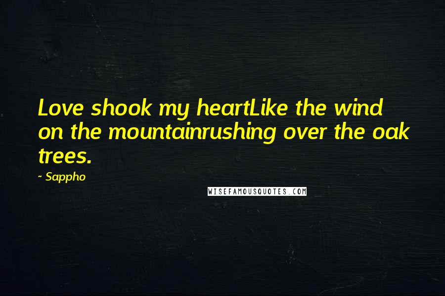 Sappho Quotes: Love shook my heartLike the wind on the mountainrushing over the oak trees.