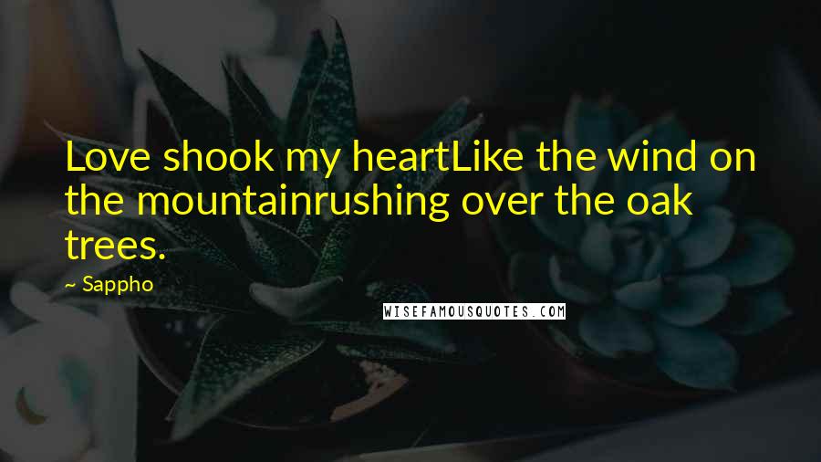 Sappho Quotes: Love shook my heartLike the wind on the mountainrushing over the oak trees.