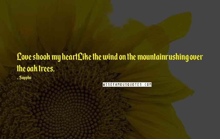 Sappho Quotes: Love shook my heartLike the wind on the mountainrushing over the oak trees.