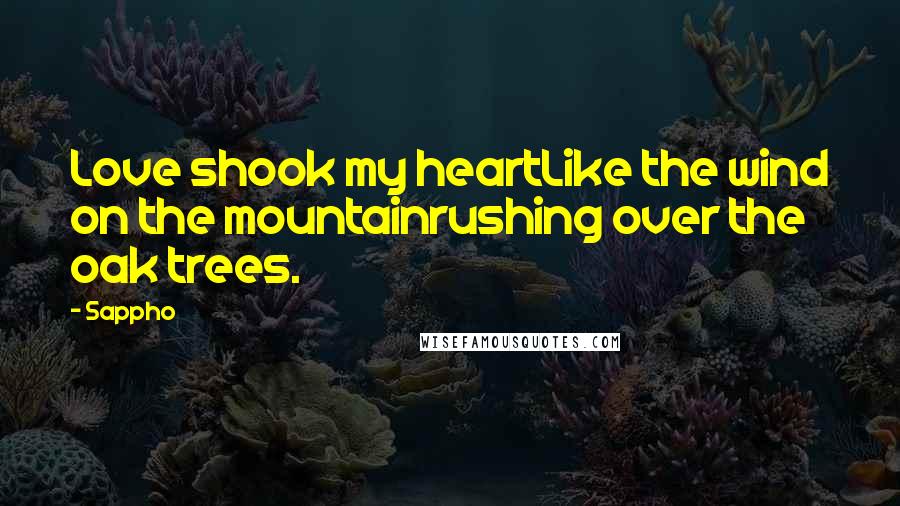 Sappho Quotes: Love shook my heartLike the wind on the mountainrushing over the oak trees.