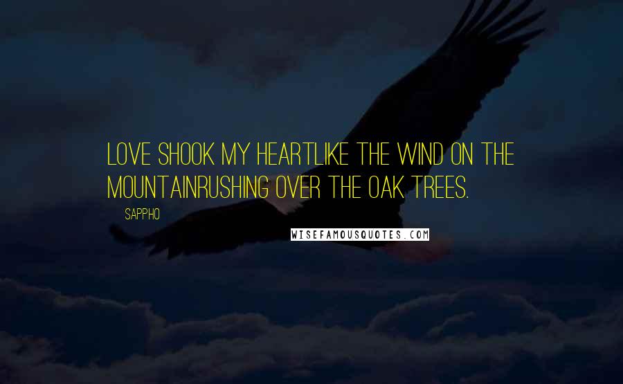 Sappho Quotes: Love shook my heartLike the wind on the mountainrushing over the oak trees.