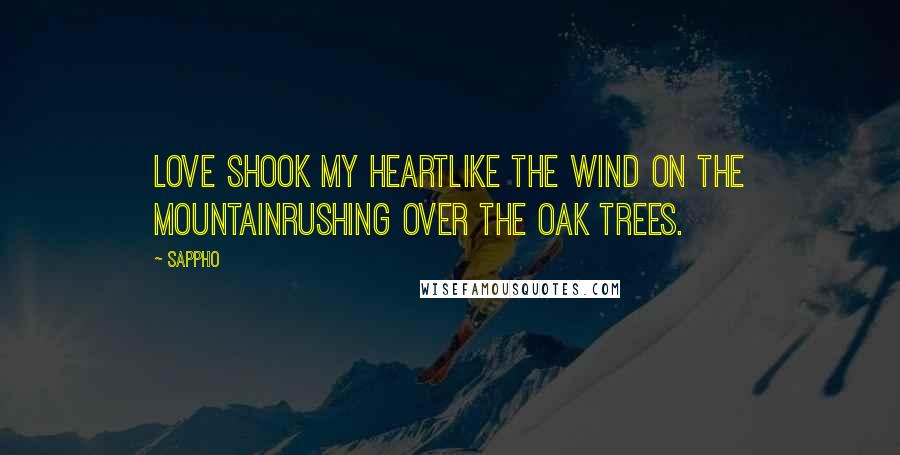 Sappho Quotes: Love shook my heartLike the wind on the mountainrushing over the oak trees.