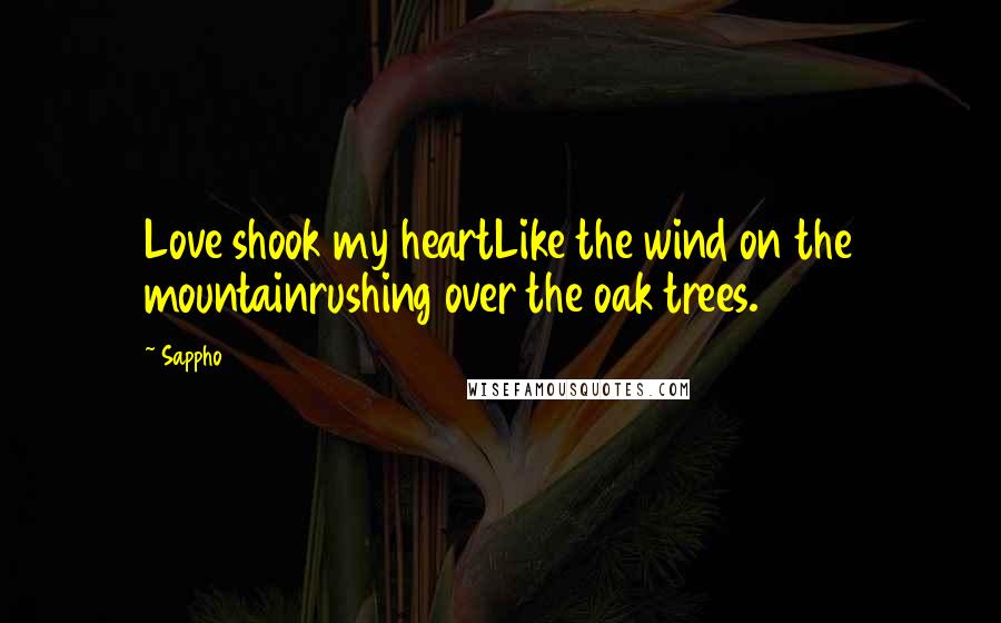 Sappho Quotes: Love shook my heartLike the wind on the mountainrushing over the oak trees.