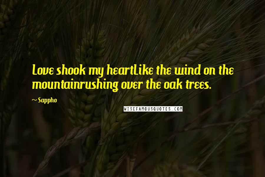 Sappho Quotes: Love shook my heartLike the wind on the mountainrushing over the oak trees.