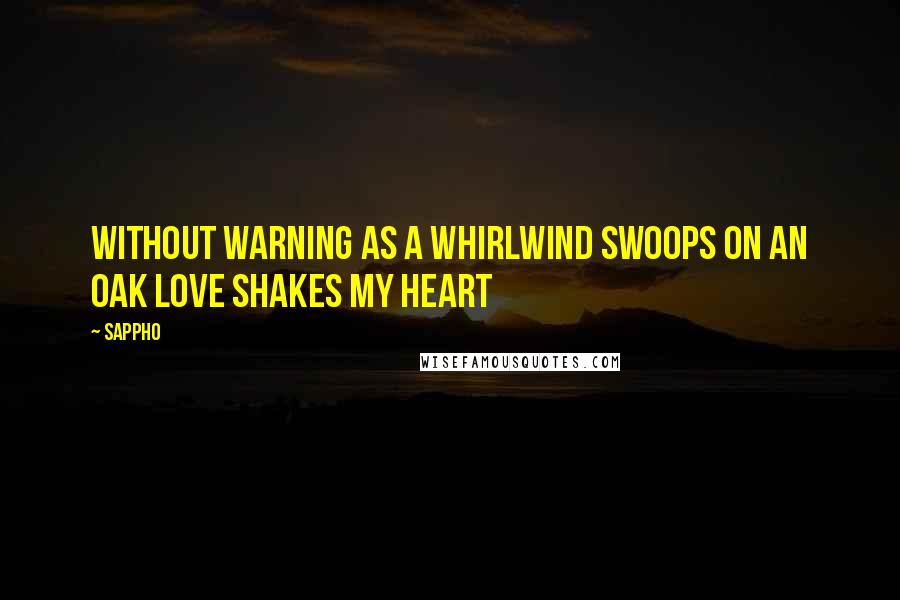Sappho Quotes: Without warning as a whirlwind swoops on an oak Love shakes my heart