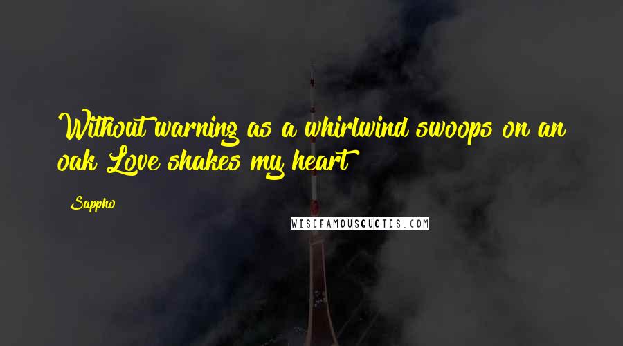 Sappho Quotes: Without warning as a whirlwind swoops on an oak Love shakes my heart