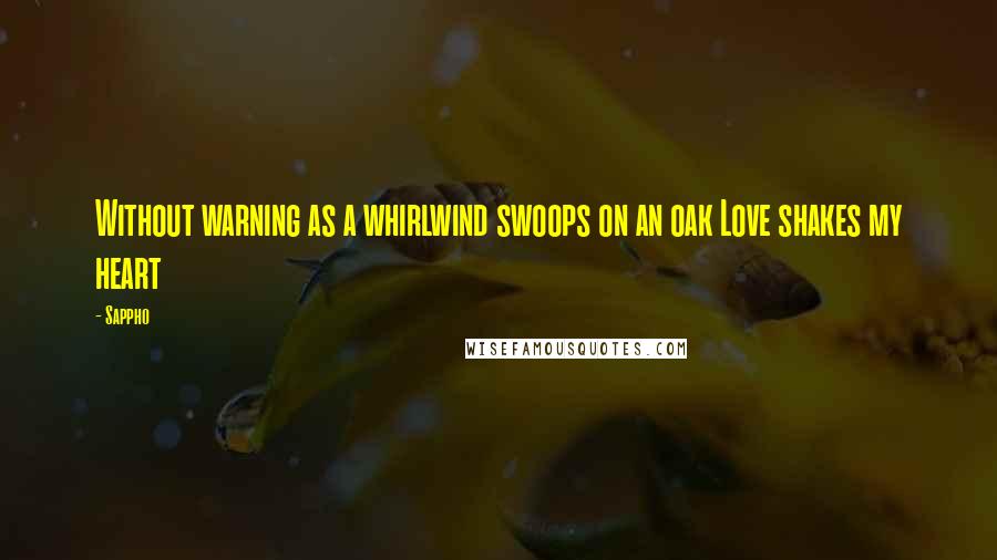 Sappho Quotes: Without warning as a whirlwind swoops on an oak Love shakes my heart