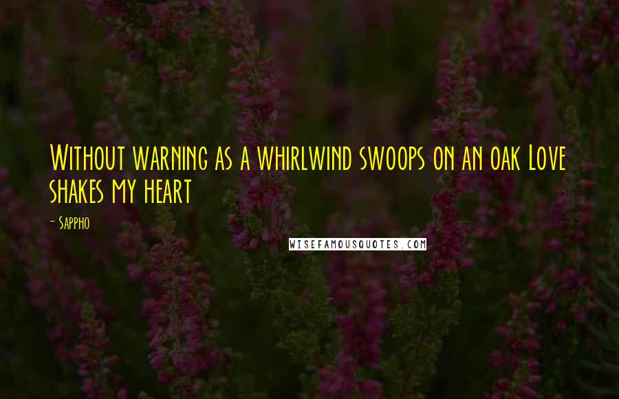 Sappho Quotes: Without warning as a whirlwind swoops on an oak Love shakes my heart