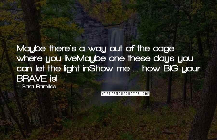 Sara Bareilles Quotes: Maybe there's a way out of the cage where you liveMaybe one these days you can let the light inShow me ... how BIG your BRAVE is!