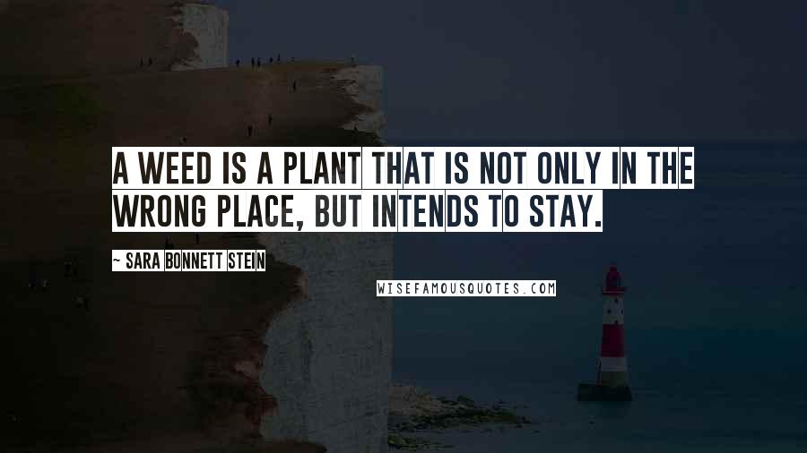 Sara Bonnett Stein Quotes: A weed is a plant that is not only in the wrong place, but intends to stay.