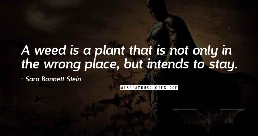 Sara Bonnett Stein Quotes: A weed is a plant that is not only in the wrong place, but intends to stay.