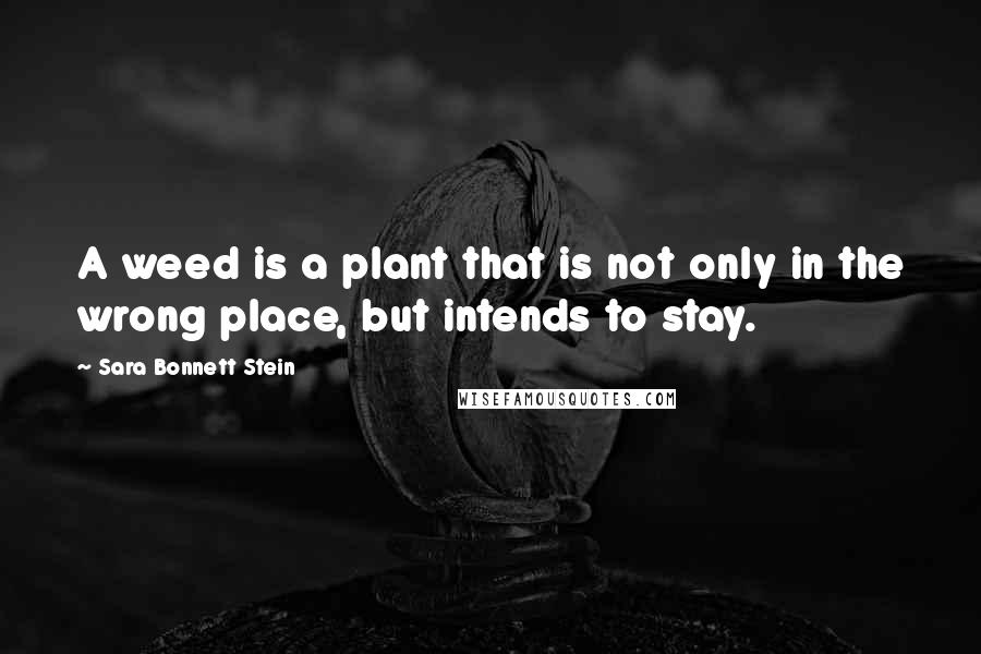 Sara Bonnett Stein Quotes: A weed is a plant that is not only in the wrong place, but intends to stay.