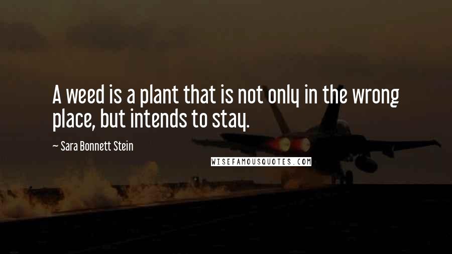 Sara Bonnett Stein Quotes: A weed is a plant that is not only in the wrong place, but intends to stay.