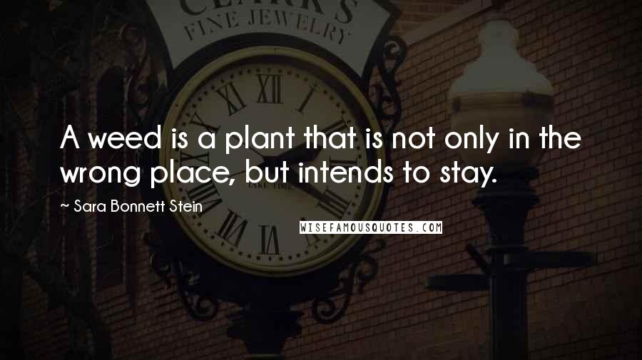 Sara Bonnett Stein Quotes: A weed is a plant that is not only in the wrong place, but intends to stay.