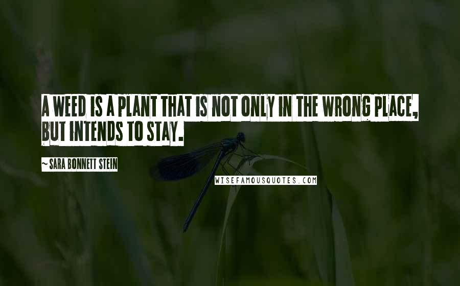 Sara Bonnett Stein Quotes: A weed is a plant that is not only in the wrong place, but intends to stay.