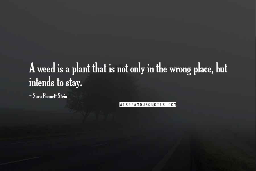 Sara Bonnett Stein Quotes: A weed is a plant that is not only in the wrong place, but intends to stay.