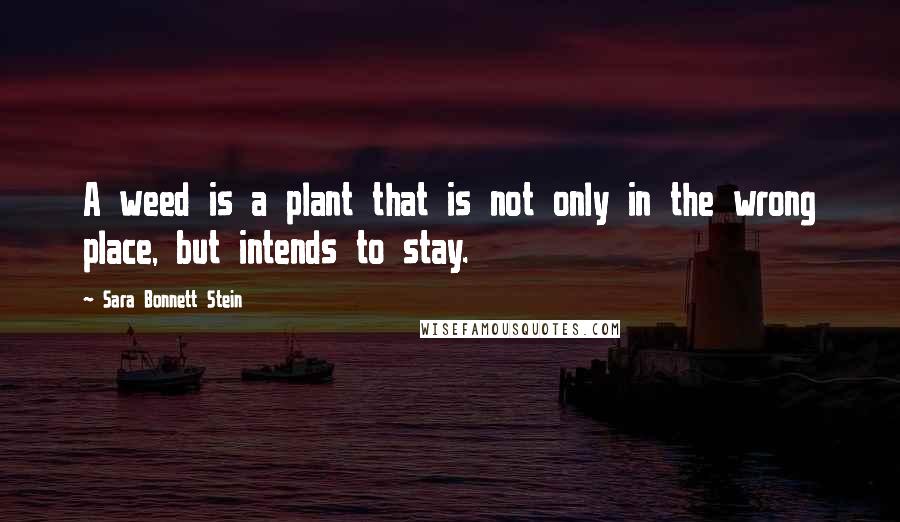 Sara Bonnett Stein Quotes: A weed is a plant that is not only in the wrong place, but intends to stay.