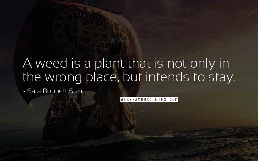 Sara Bonnett Stein Quotes: A weed is a plant that is not only in the wrong place, but intends to stay.