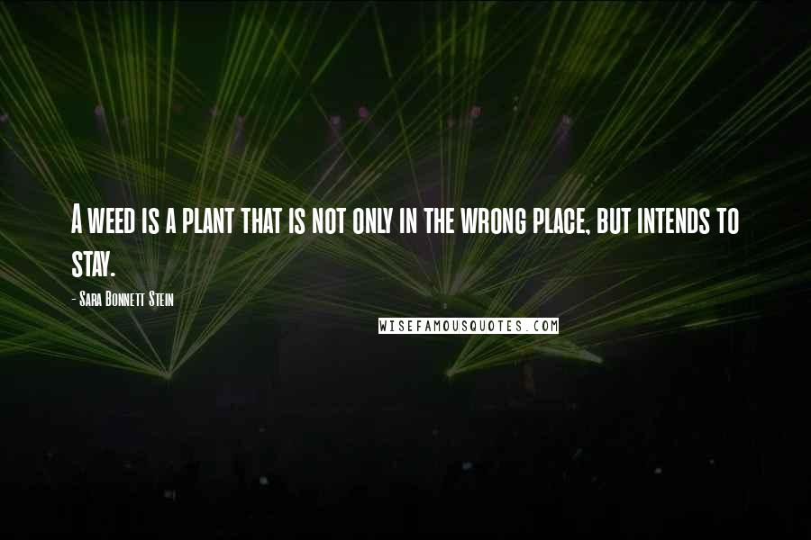 Sara Bonnett Stein Quotes: A weed is a plant that is not only in the wrong place, but intends to stay.