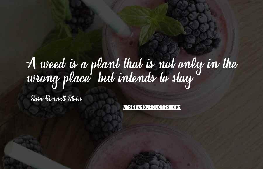 Sara Bonnett Stein Quotes: A weed is a plant that is not only in the wrong place, but intends to stay.