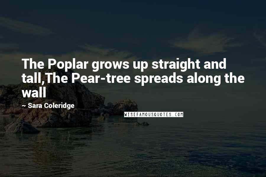 Sara Coleridge Quotes: The Poplar grows up straight and tall,The Pear-tree spreads along the wall